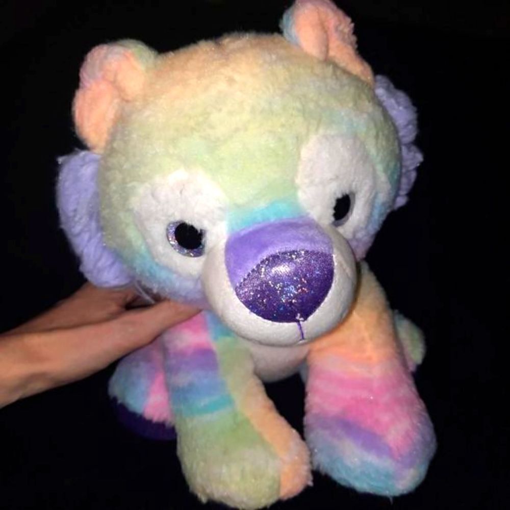 Stuffed Rainbow Bear 